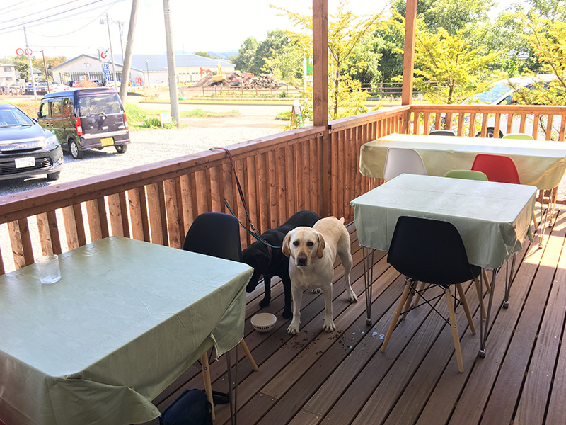 軽井沢町にある犬と一緒に入れるレストラン＆ペンション、HotDog（ホットドッグ）のテラス席の写真
