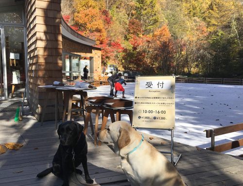紅葉深まる – 軽井沢ケラ池オープン